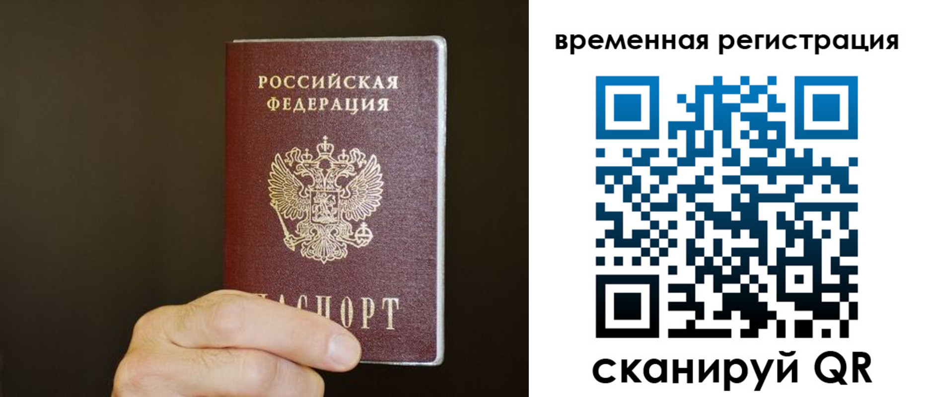 прописка гарантия в Балтийске
